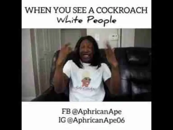 Video: AphricanApe - Cockroach